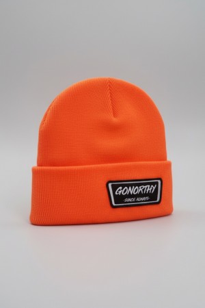 Winter Cap Why Not? Gray