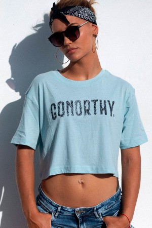 Camiseta Crop Top GONORTHY